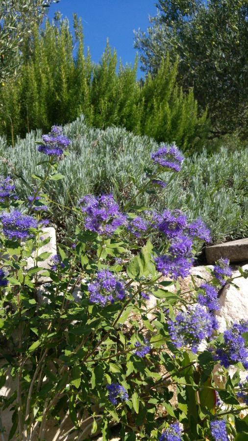 The Art Of Mediterranean Living Makarska Luaran gambar